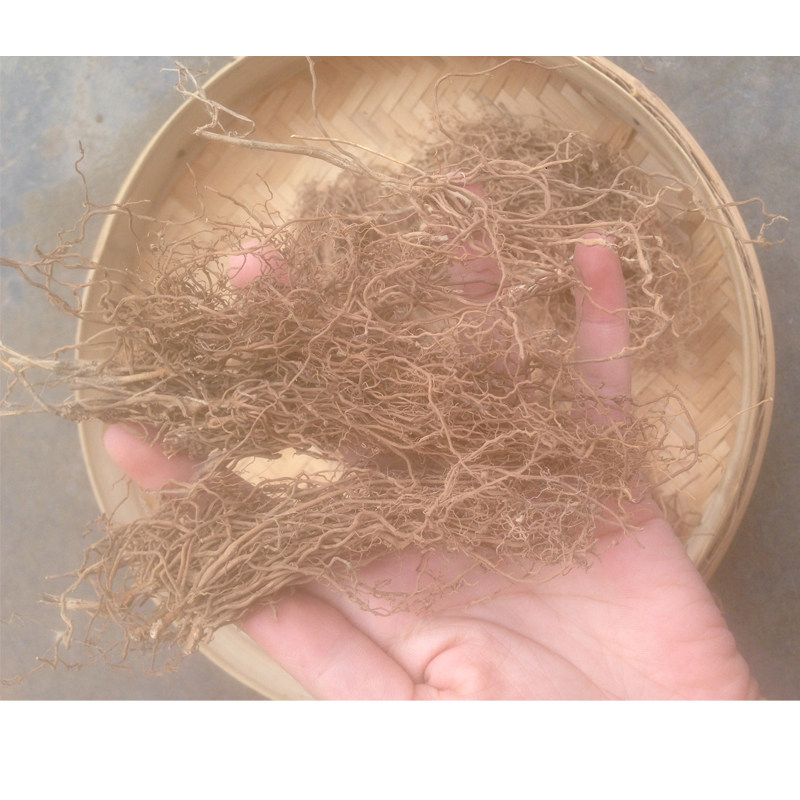 野生中草药材 辽刁竹 竹叶细辛 干品 1斤包邮