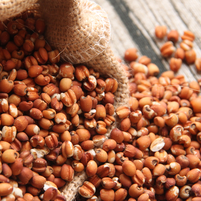 红薏米贵州兴仁小粒薏仁米红薏米仁五谷米杂粮红薏苡仁500g*5包