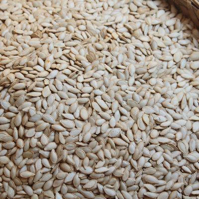 2017年新货生南瓜子 毛边土瓜子 农家自收无添加无染色 3斤包邮