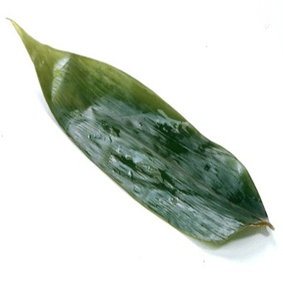 新鲜粽叶 粽子叶 野生箬叶大粽子叶保湿 真空包装送棕绳 特价 批