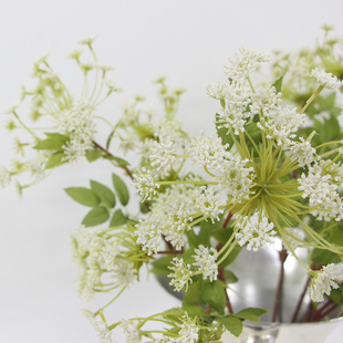 仿真花 lamome法式清新 样板房设计师 单枝仿真花3头蕾丝花白色/客厅