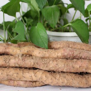 亨泰特产绿色垆土铁棍山药焦作垆土山药农家自种真空包装