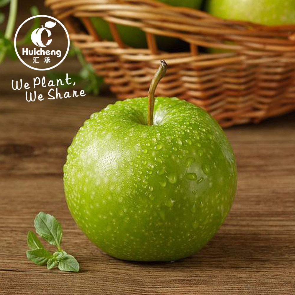 【2016年澳洲青苹新果销售中】 陕西杨凌有机青苹果4斤装