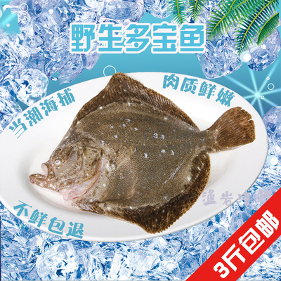 连云港野生多宝鱼新鲜海鱼 比目鱼 鲜活多宝鱼 鲽鱼 海捕扁嘴鱼