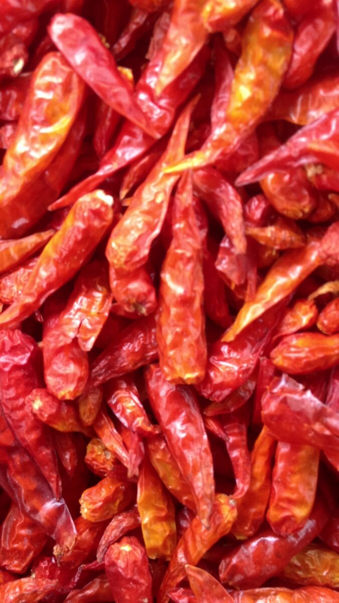 越南辣椒50克 小米椒农家干辣椒 特辣朝天椒美食特产野山椒小吃