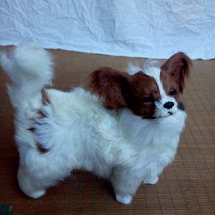 摆件 新店促销价仿真狗家居摆件创意桌面装饰品 博美犬玩偶 蝴蝶犬