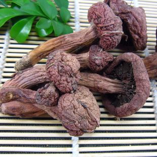 红蘑松树伞蘑肉蘑菇250克特价2份包邮