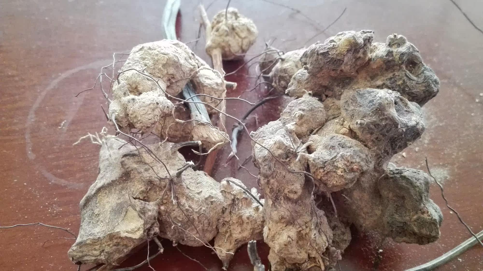 马来西亚进口蔓加卡丽 卡琪花蒂玛 女性妇科内分泌收阴棒快活棒