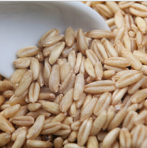 精力沛小麦胚芽胚芽片胚芽粉高纤原味谷物杂粮即食早餐袋装300g