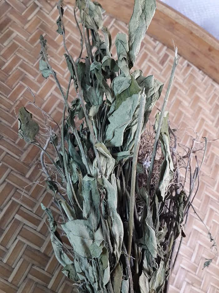 白花地棉根/地棉茎/ 野生 广东煲汤料/梅州客家特产500克