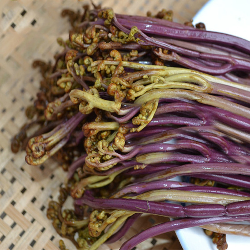 贵州黔瑞山野香辣泡椒蕨菜200g麻辣凉拌野生新鲜蕨菜下饭菜