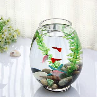 孔雀 包邮 孔雀鱼缸 玻璃扁口鱼缸 热带观赏鱼缸 办公桌面鱼缸 斗鱼缸