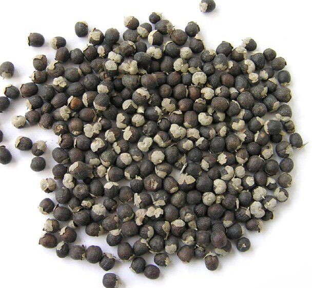 文择轩 中药材批发 野生蔓荆子 万荆子 蔓青子 枕头 50g 抓药