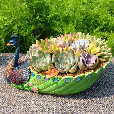 包邮孔雀花盆栽多肉 大号韩式创意盆器 多肉植物花盆个性创意花盆