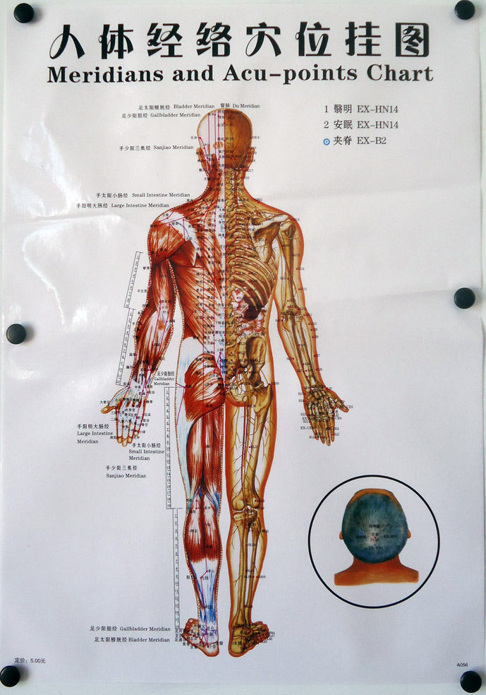 包郵正版三張清晰人體經絡針灸掛圖標準中醫經絡圖家庭艾灸穴位圖