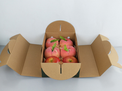 现货 精品荔枝水果手提礼盒包装纸盒彩盒水果通用纸箱可装6斤-8斤