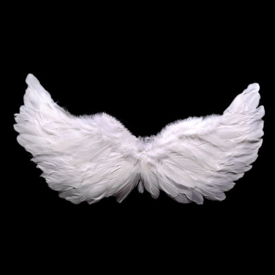 天使翅膀 白色羽毛燕形翅膀成人儿童表演 万圣节道具新娘花童装扮