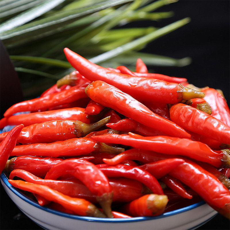 自制酸菜四川泡菜正宗云南泡椒红小米辣农家泡红椒辣椒特超辣 1kg