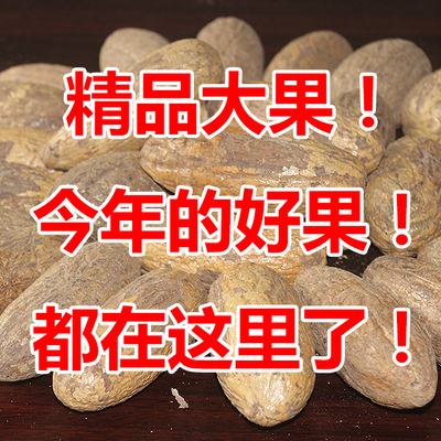 千眼菩提子原籽原料按斤精挑细选霸王果大果通货风化果老果手把件