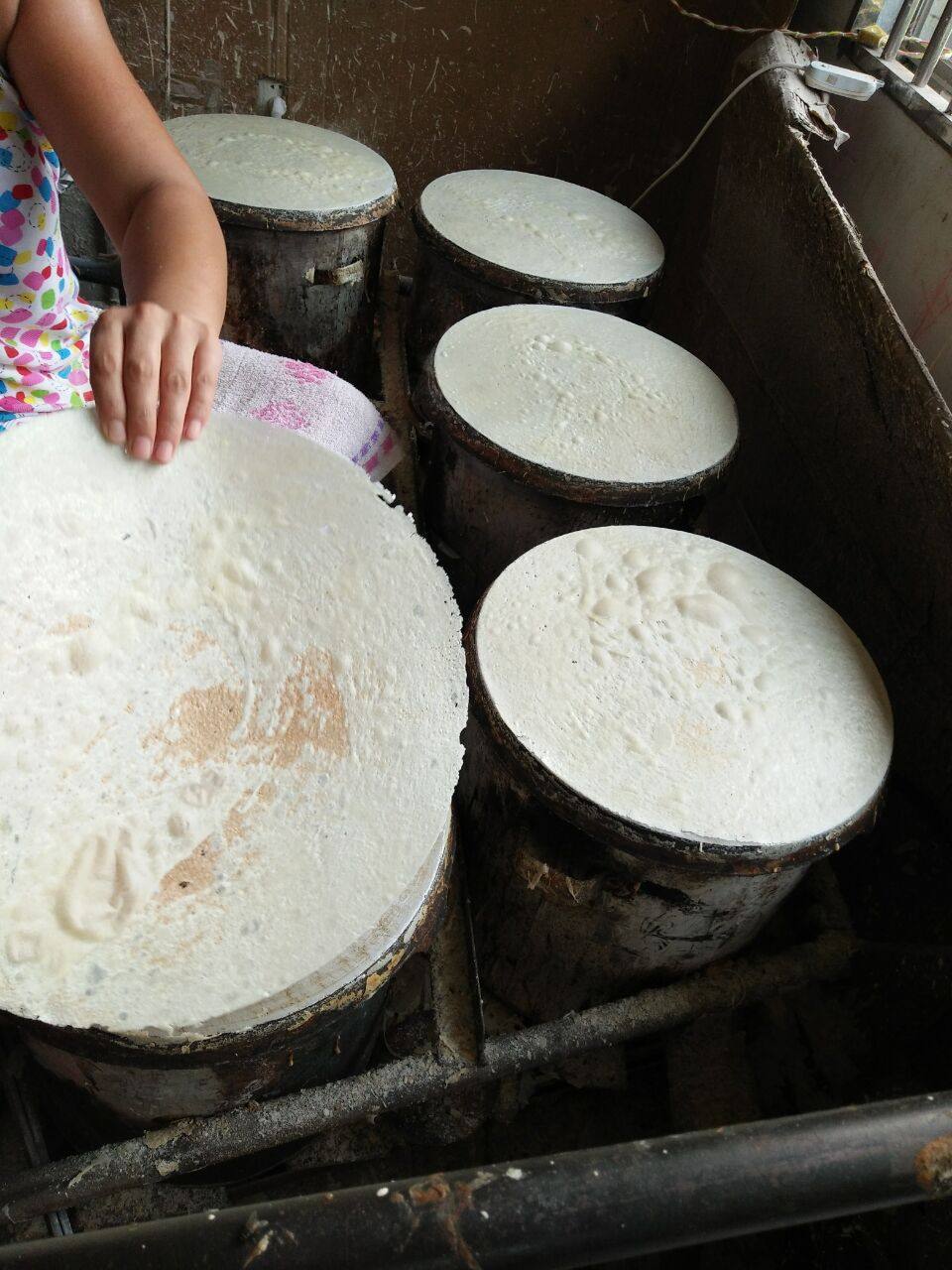 山东特产滕州菜煎饼纯手工小煎饼专用饼白面煎饼单饼批发