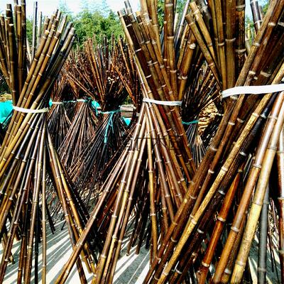 精品紫竹竿装修装饰紫竹篱笆栅栏隔断屏风紫竹围栏竹笛啸粗紫竹杆