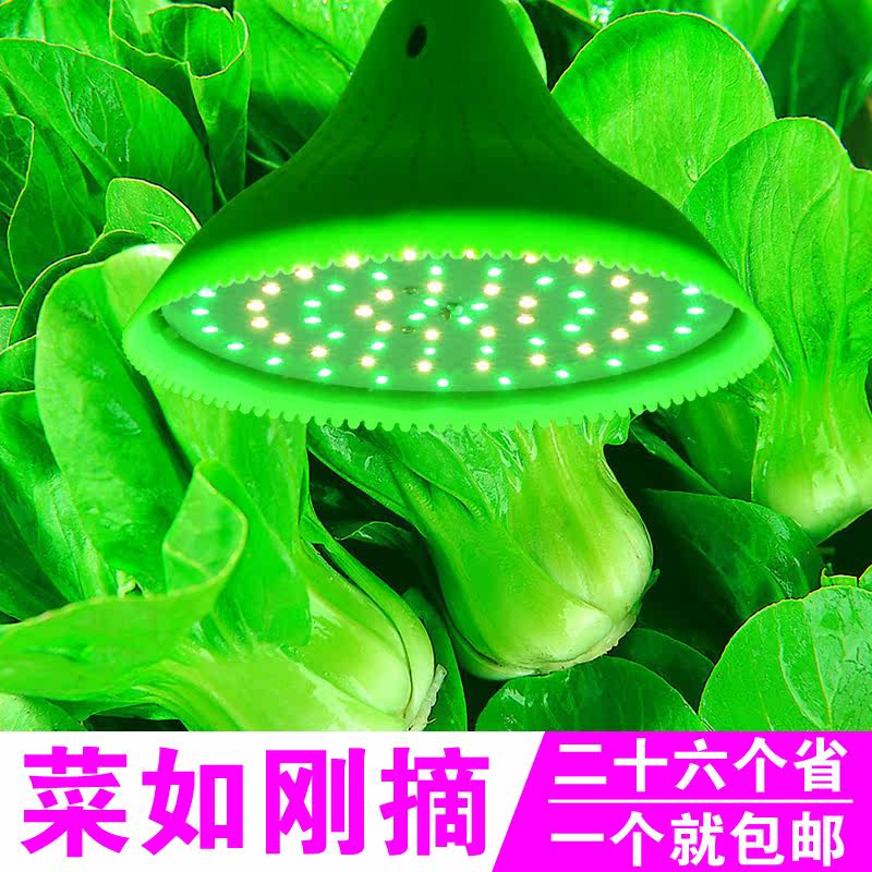 led生鲜灯 蔬菜灯 绿色绿光果蔬照射灯 24w36w节能省电耐用灯具