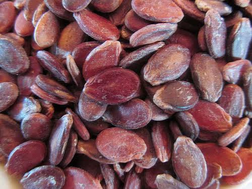 新鲜原味生红瓜子 皮簿肉厚 颗粒饱满 坚果休闲特产250克5件包邮