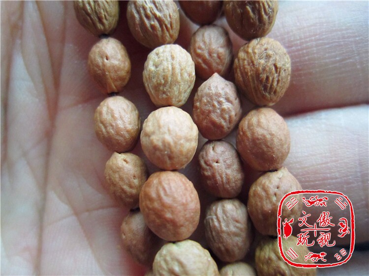 大青枣核,山枣核,枣核图片(第7页)_大山谷图库