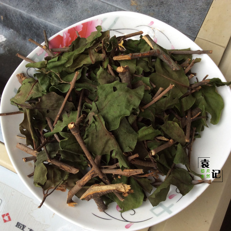 中药材野生杨桃寄生500g寄生无碎渣老草药收购店供正品保证