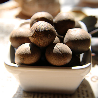 海椰皇海底椰非洲海椰子皇新鲜迷你小椰子孕妇天然炖煲汤料特产