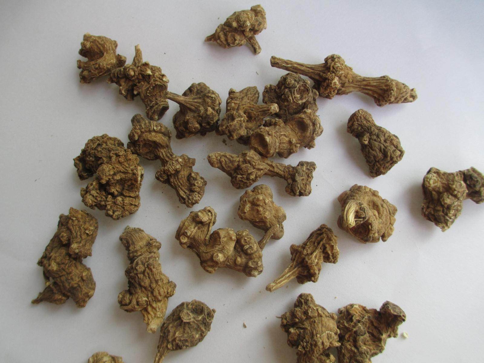 西藏林芝特产野生正品藏三七 田七超云南文山三七藏药三七粉250g