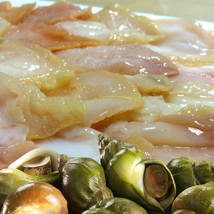 刺身 加拿大翡翠螺 大螺肉 螺肉 翡翠螺500g 进口海鲜刺身