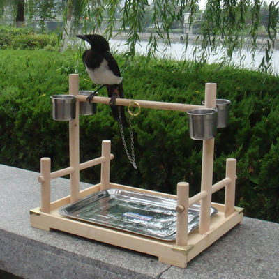 大号训鸟实木站架喜鹊蓝鹊绯胸中大型鹦鹉鸟站架子鸟笼息架