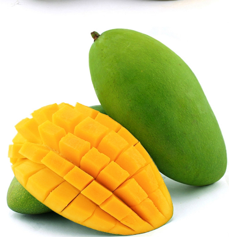 Խȴâˮ ʤą̂ũâ5װ