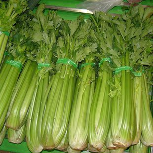 农家自种当日采摘 新鲜芹菜 新鲜蔬菜 有机芹菜 农家芹菜2斤装