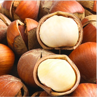 榛子东北特产开口大榛子薄皮坚果特价原味野生高营养孕妇香脆零食